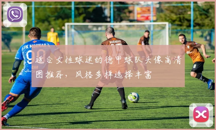 适合女性球迷的德甲球队头像高清图推荐，风格多样选择丰富
