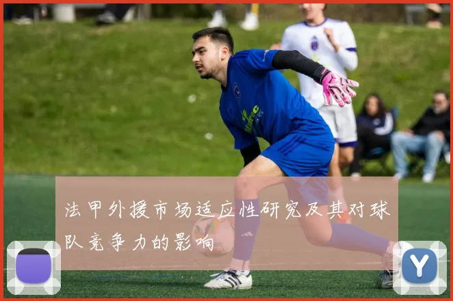 法甲外援市场适应性研究及其对球队竞争力的影响