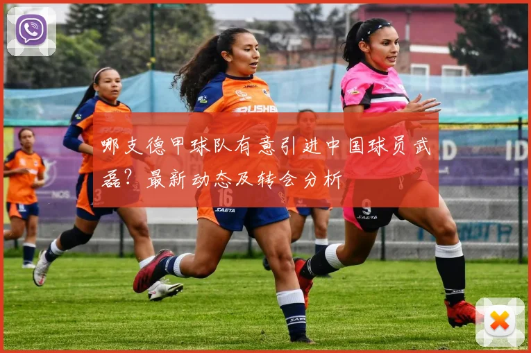 哪支德甲球队有意引进中国球员武磊？最新动态及转会分析