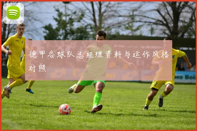 德甲各球队总经理资料与运作风格对照