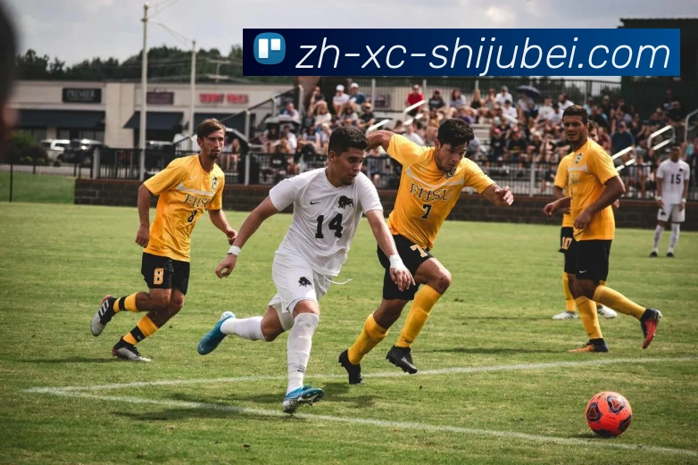 世界杯赛程表APP 高清赛事图