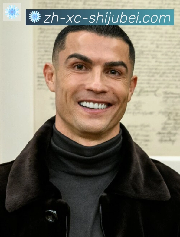 维尼修斯